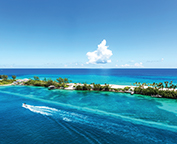 Coral reef at crystal waters in Nassau