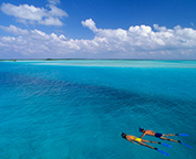 Snorkeling