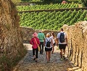 Rhine River Cruise Excursion