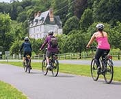 Rhine River Cruise Excursion